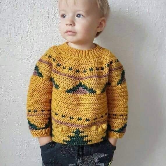 Buy Baby boy winter sweater online | TS 
