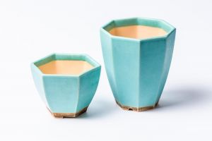 Blue succulent pots set of 2