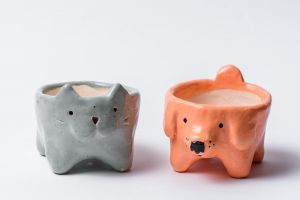Cat and Dog succulent pots set