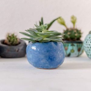 Blue plant container