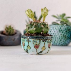 Ceramic cactus pot