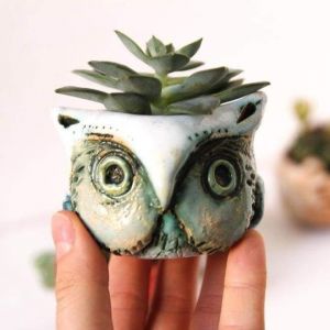 Ceramic succulent pot "Owl"