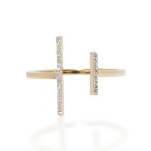 Double bar gold ring 