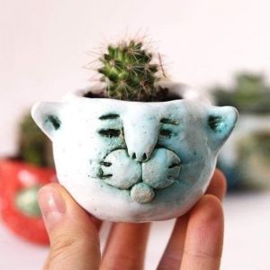 Funny plant pot