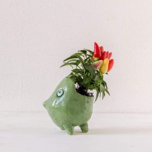 Funny pot for plants