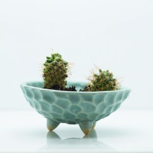 Ceramic cactus planters