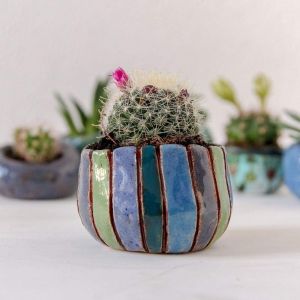 Mini ceramic succulent pot
