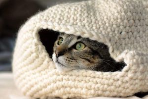 Pet crochet house "Cat lifestyle"