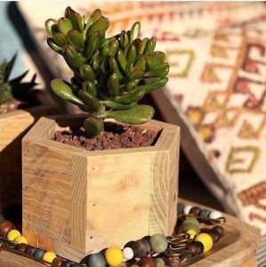 Reclaimed wood mini succulent hexagon planter