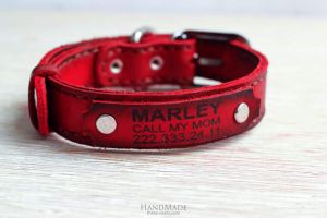 Red leather dog collar