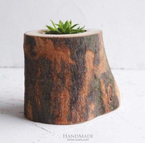 Rustic succulent cactus pot "Forest"