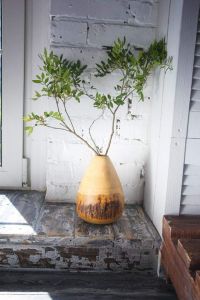 Rustic tree bark mango wood vase