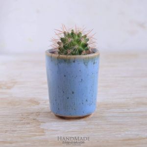 Сeramic cactus pot "Sky blue"