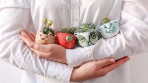 Set of cute succulent pots
