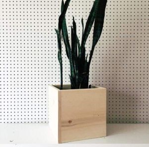 Square box natural wood planter