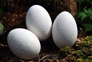 «White» goose egg pysanka (Easter egg)