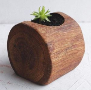 Wood pot for succulent  "Green wave"