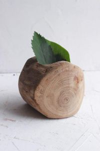 Wood pot for succulent oak "Wood stage"