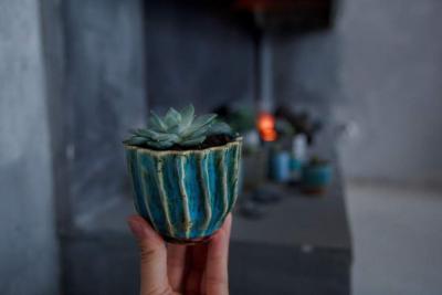 Make your house eco-friendly: flower pots & plant shelves
