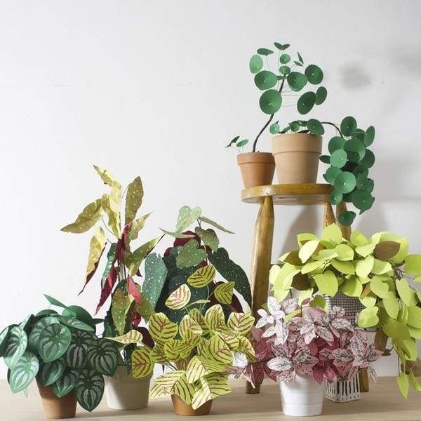 indoor planters