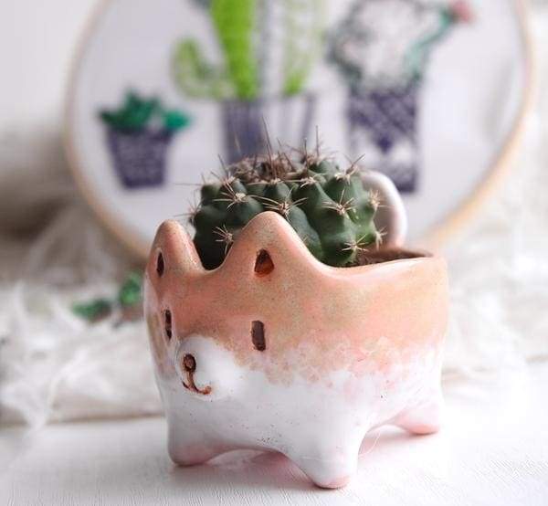 akita succulent pot