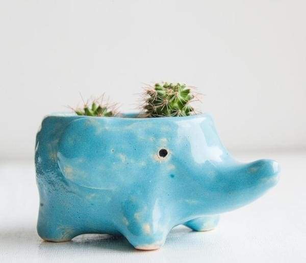 blue elephant cactus pot