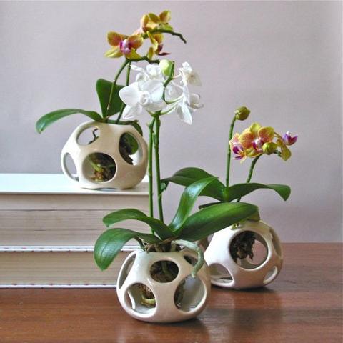 Pot for orchids