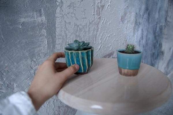 succulent pots