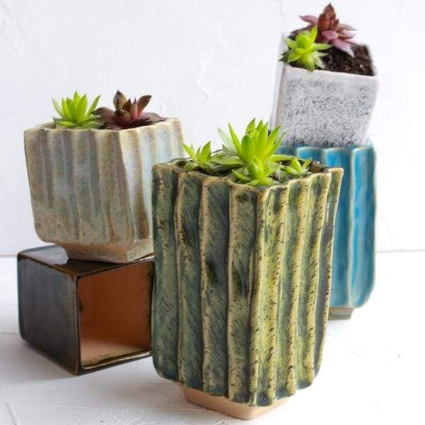 succulent pots