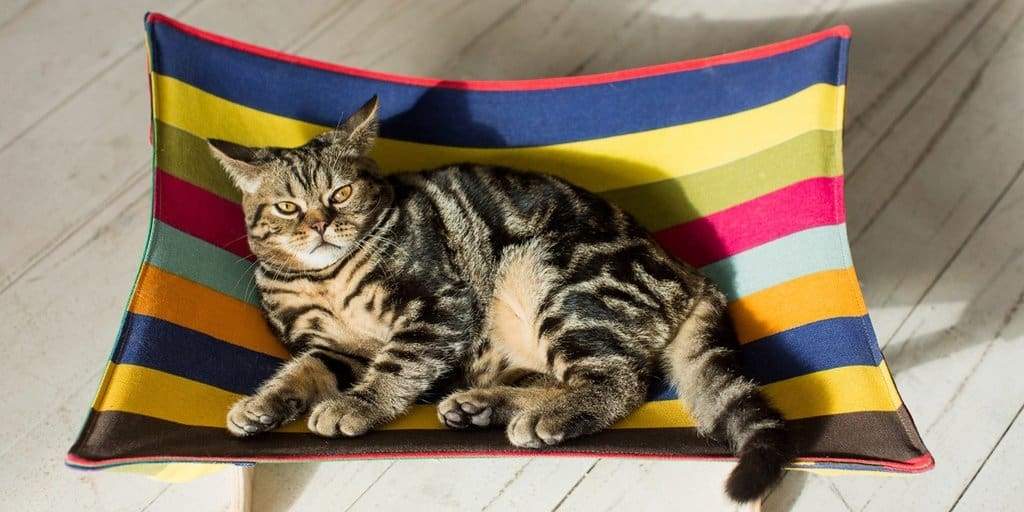 Designer's pets hammock